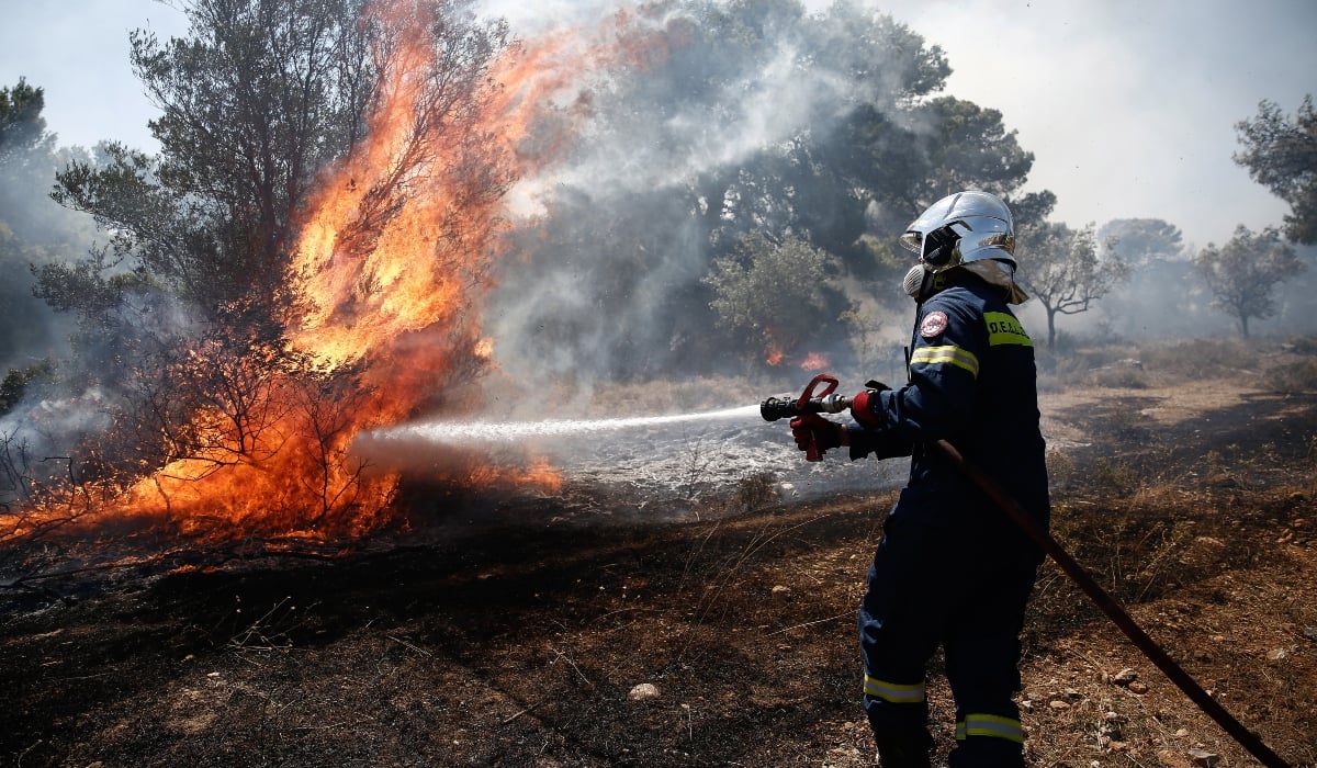 εικόνα πυρκαγιάς σε δασική περιοχή στην Εύβοια