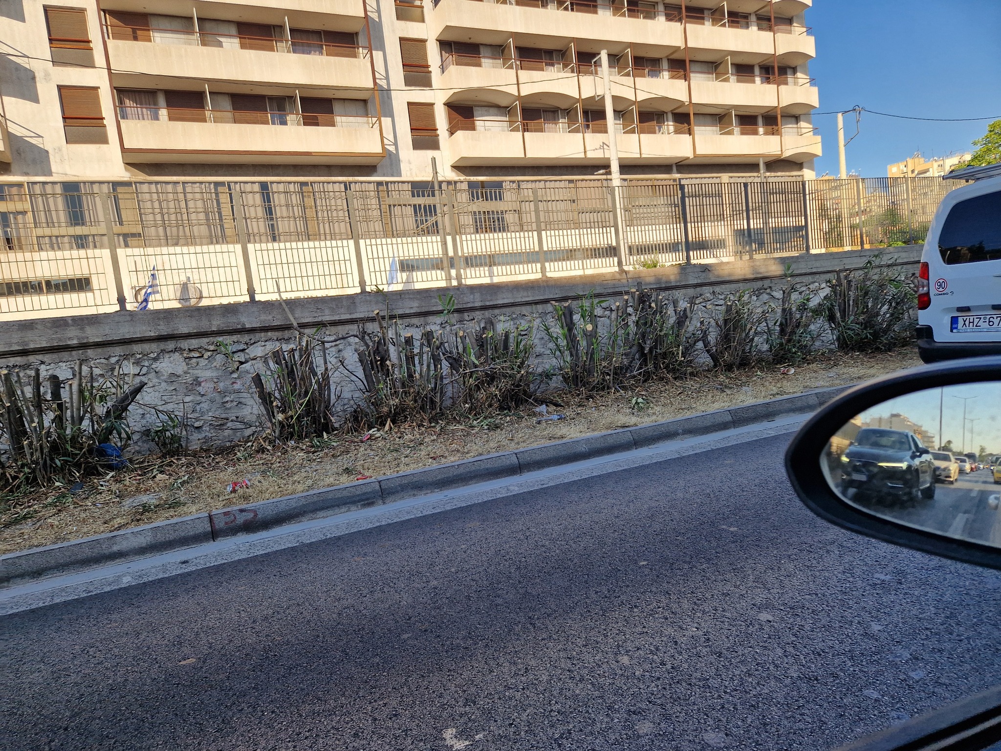 Πικροδάφνες κομμένες στη Μικράς Ασίας στον Πειραιά