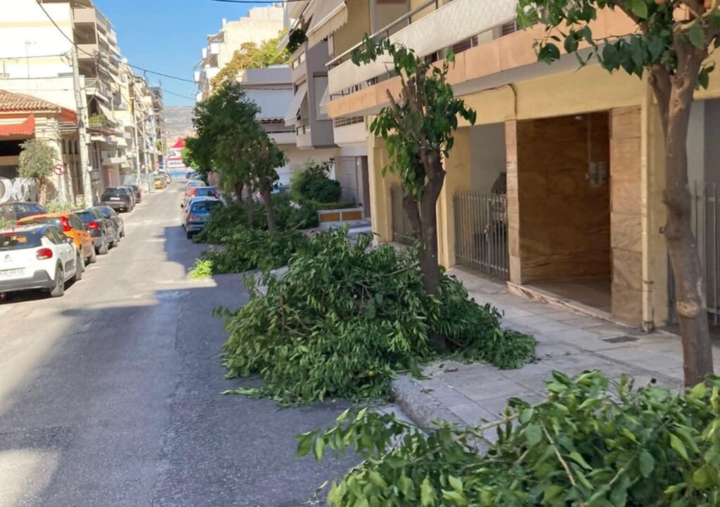 κλαδέματα πεταμένα στο πεζοδρόμιο στην οδό Ζαΐμη Πειραιά