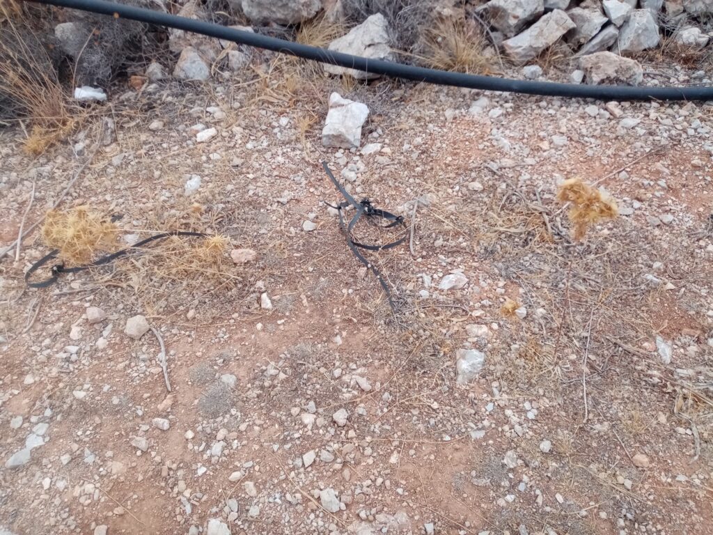αναδάσωση στο Όρος Αιγάλεω με ξεραμένα φυτά