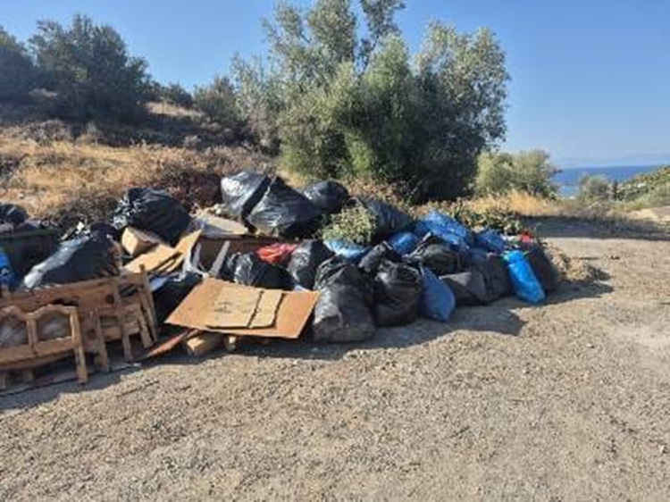 Απορρίμματα και κλαδέματα στη Σαλαμίνα – Εργαζόμενοι καθαριότητας δίνουν άνισο αγώνα