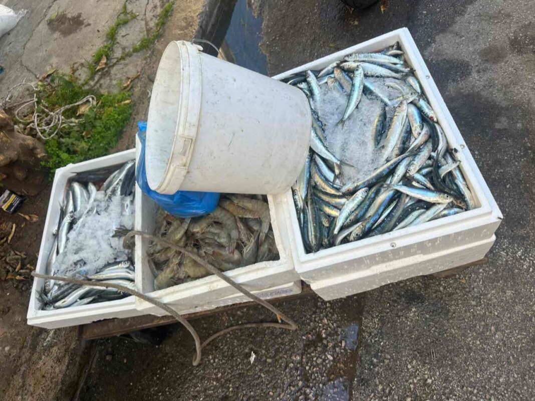 «Έλεγχος στην Α’ Λαϊκή Αγορά Πειραιά – Κατάσχεση 150 κιλών ψαριών»