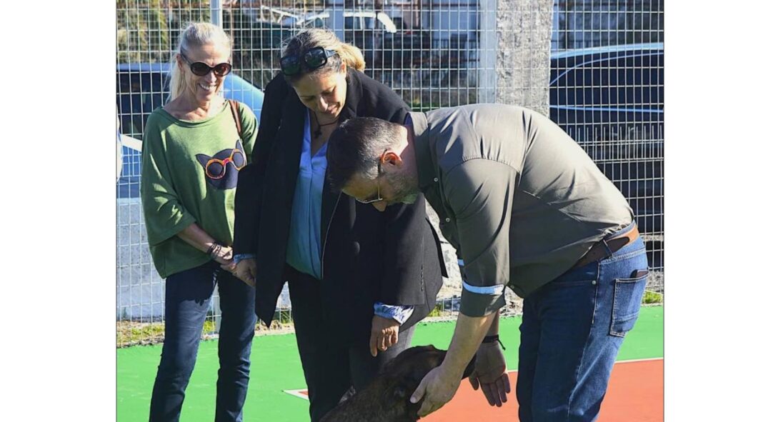 Δήμαρχος Σαλαμίνας με την αδέσποτη σκυλίτσα Γλύκα στα εγκαίνια γηπέδου τένις
