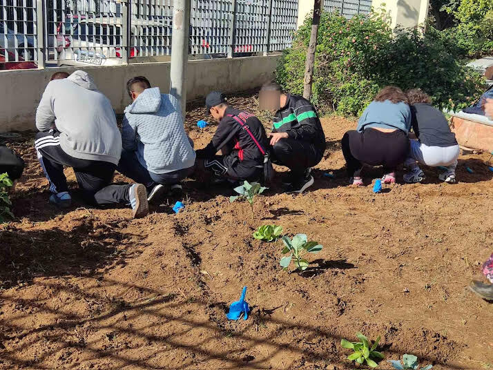 Μαθητές και δήμος Νίκαιας-Ρέντη δημιουργούν νέο σχολικό λαχανόκηπο στο 3ο Γυμνάσιο Ρέντη