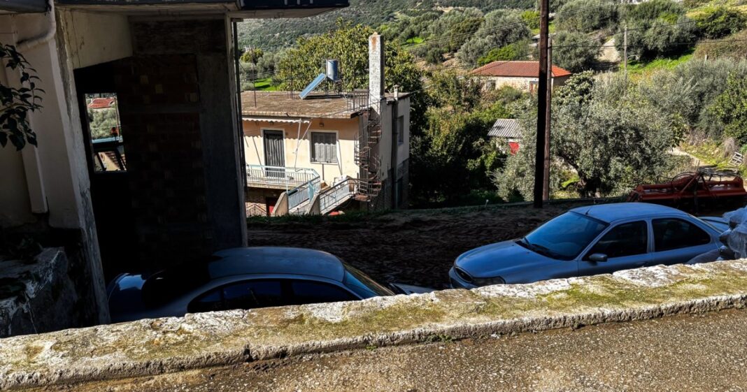 Αχαΐα 4χρονο τροχαίο με γουρούνα