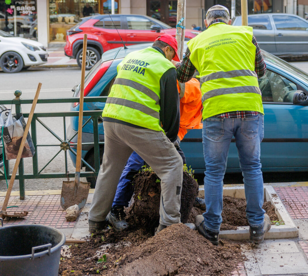 φύτευση νέων δέντρων στο Πασαλιμάνι Πειραιά