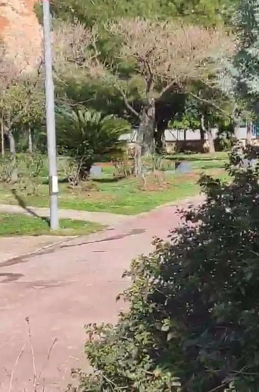 Βράχοι πάνω από το Πάρκο Σελεπίτσαρι στο Κερατσίνι-Δραπετσώνα μετά τις καταιγίδες