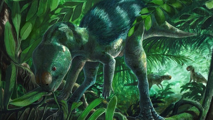 Απολιθώματα μικροσκοπικού δεινοσαύρου στην Ισπανία