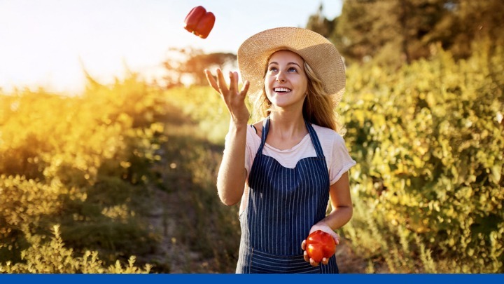 Lidl Ελλάς απολογισμός βιωσιμότητας 2024