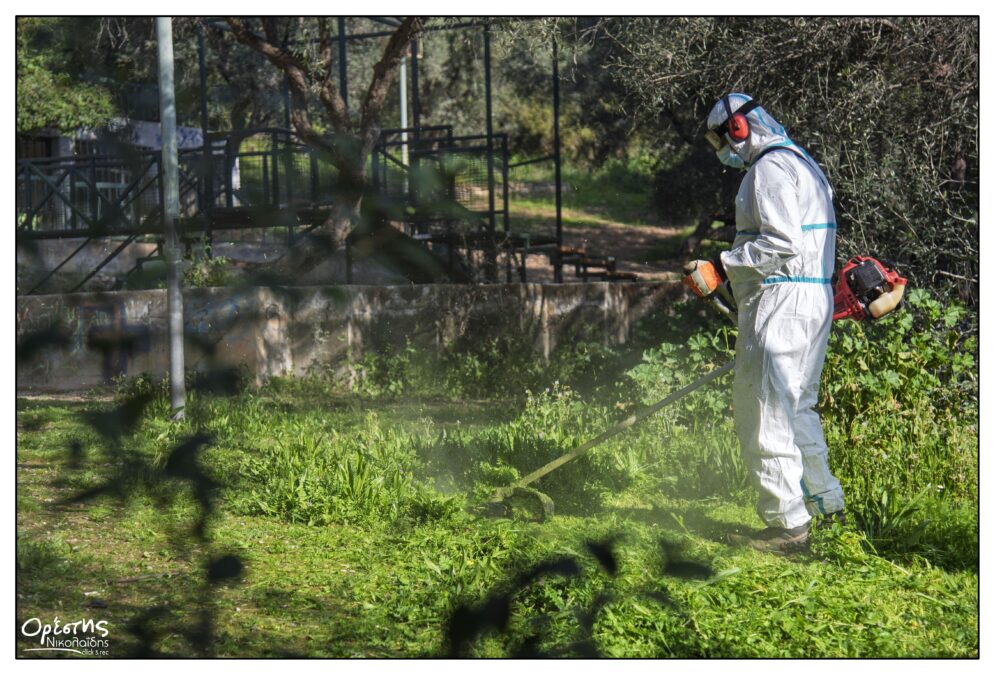 Άλσος Αγίου Φιλίππου Νίκαια αναβάθμιση δέντρα