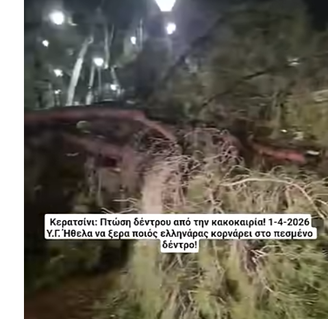 Κερατσίνι πτώση δέντρου κακοκαιρία